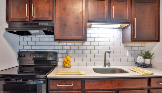 modern kitchen at Tree Top Apartments located in Spartanburg, SC